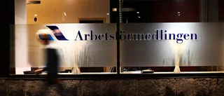 Gallring behövs i den arbetsmarknadspolitiska rabatten.