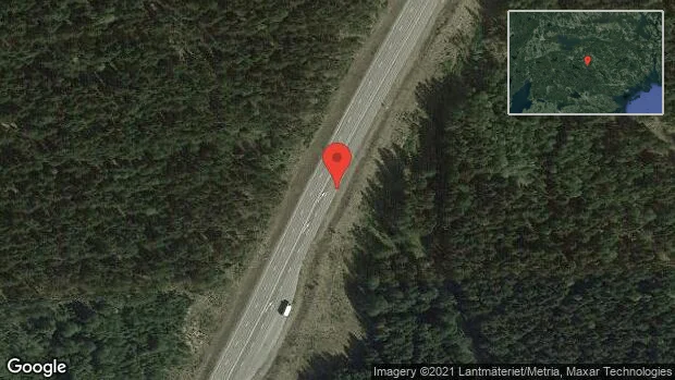 Rådjur på vägen på väg 55