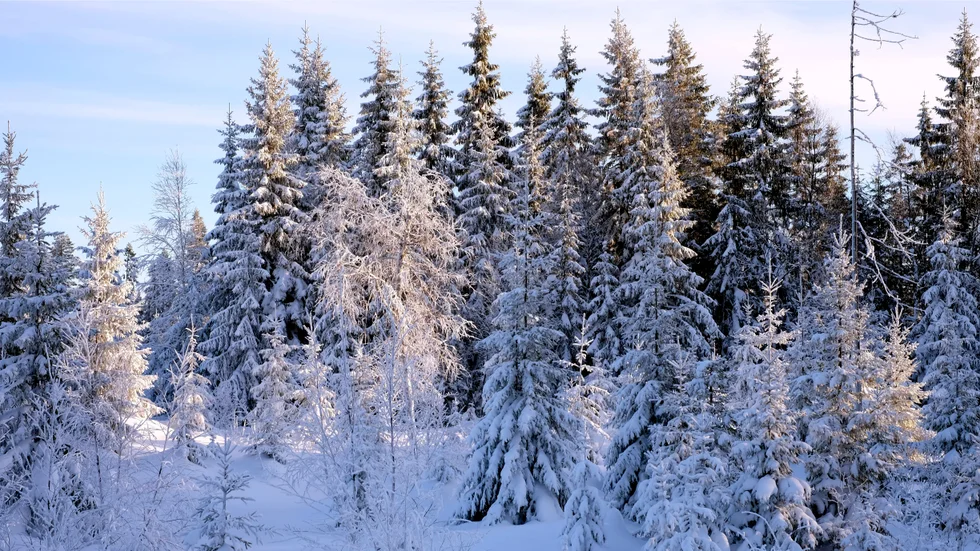 Mycket moln på långfredagen.