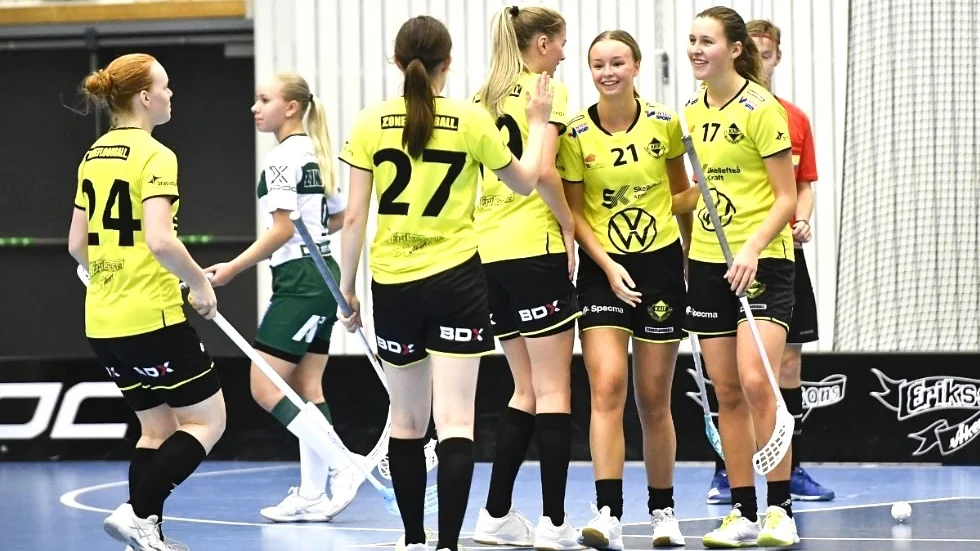 Kågedalen som drog sig ur allsvenskan har gjort klart med en ny tränare inför den kommande säsongen.