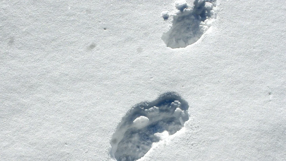 Skoavtrycken i snön ska vidare analyseras av Nationellt forensiskt centrum. Bilden är tagen vid ett annat tillfälle.