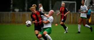 Det måste ställas högre krav på importerna – de måste kliva fram och vara skillnaden