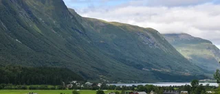 Far och son dödade i misstänkt tjurattack