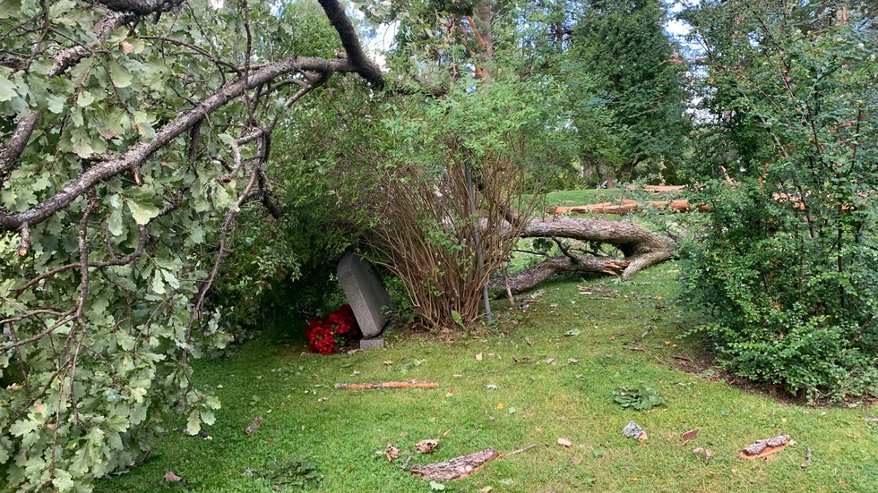 Trädets grenar har gått av och skadat vissa av gravstenarna på kyrkogården. 