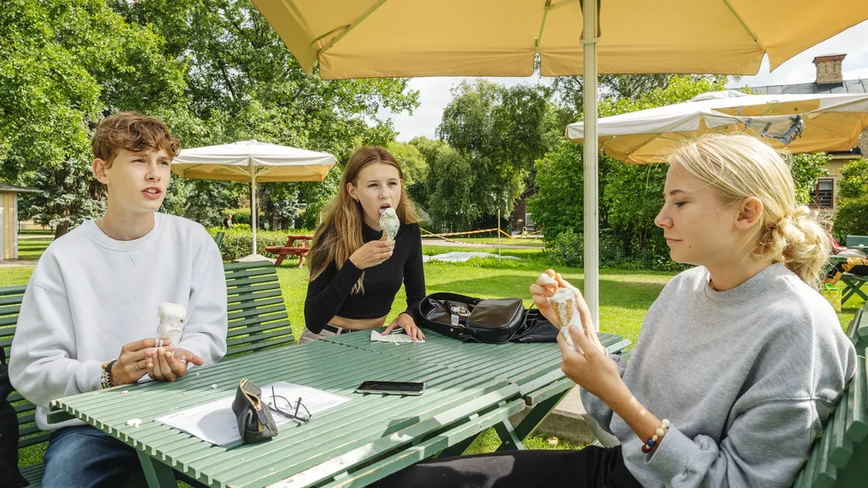 "Om det är fest är alkohol inte i fokus". Det säger Vincent Ryholm Ritsgard. Med på bilden även från vänster Agnes Gullefors och Lina Nolén. 