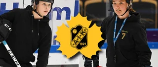 Skellefteduon hyllar AIK:s damlag och satsningen på laget – drömmer om att återvända till klubben • Tindra om flytten till USA