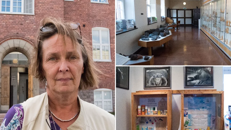 Carola Johansson, museiassistent och flyttsamordnare för kulturen i Malmberget, visar gruvmuseet och myggmuseet som har fått flytta in i Gällivare museum. 