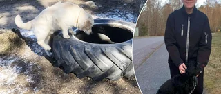 Ylva vill fixa hundpark med grannarnas hjälp – får nobben av kommunen