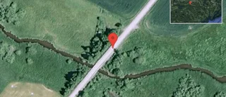 Djur på vägen på väg 214