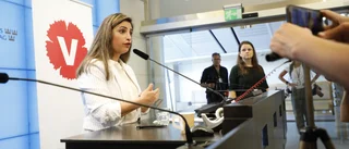 Fransson: "Är det något som jag upplever vara politisk teater så är det Vänsterpartiets uppträdande."