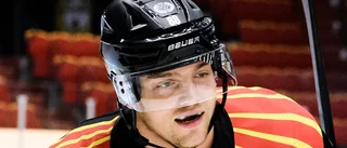 Malmö värvar Brynäs förre forward
