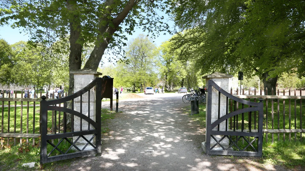 Träd har torkat och dött i Botaniska trädgården. Nu ansöker DBW om tillstånd att ta ner fem träd.