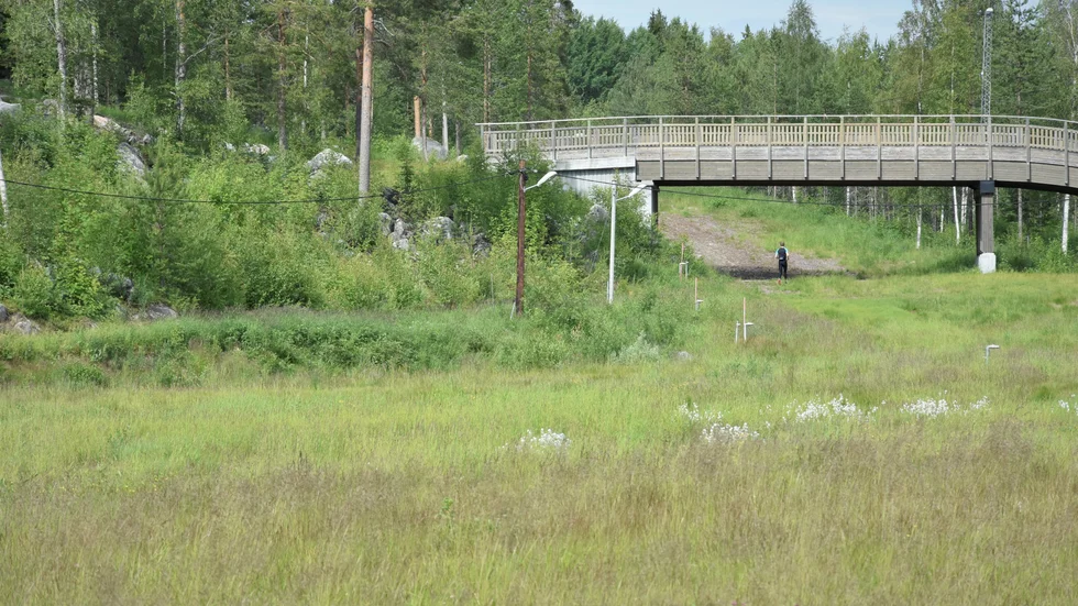 På sommaren ska det gå att åka inlines och rullskidor på banan.