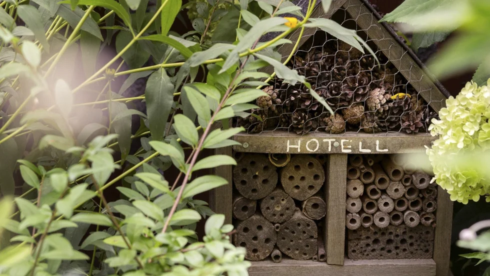 Ett bihotell är som en fågelholk för vilda insekter. Hotellet på bilden är inte det som ska sättas upp i Ugglans park.