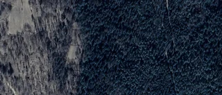 Ny ägare till gård i Stora Åby