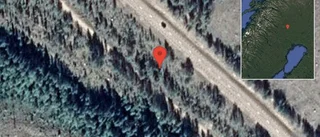 Just nu: Renar på vägen på E10