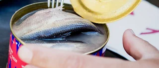 Varnar unga för surströmming