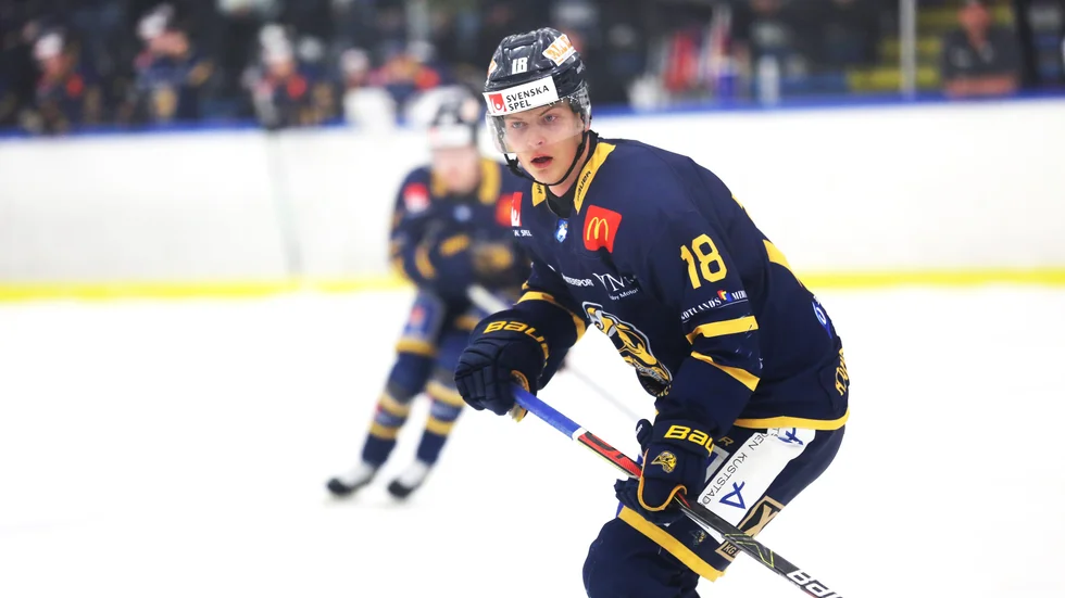Adam Andersson arbetar stenhårt, men har haft svårt att få det att lossna med poängproduktionen. I söndags gjorde han sitt första mål i hockeyettan och hoppas nu att det ska lossna.