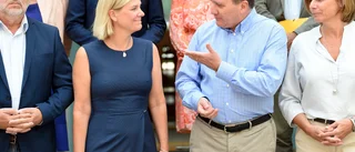 Huggsexa hela budgethösten