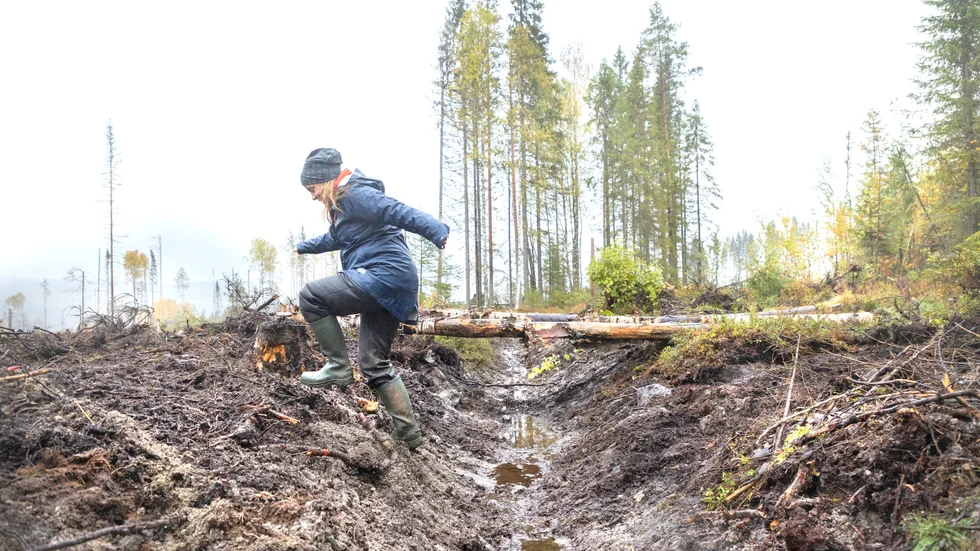 Det finns över en miljon kilometer grävda skogsmarksdiken. Uppskattningen är att hälften av dem saknar funktion. Skogsägare kan söka bidrag för att återväta diken. Eliza Maher Hasselquist, Forskare vid Institutionen för skogens ekologi och skötsel på SLU, forskar fram ett verktyg som ska hjälpa skogsägare att bedöma hur de ska hantera sina diken.