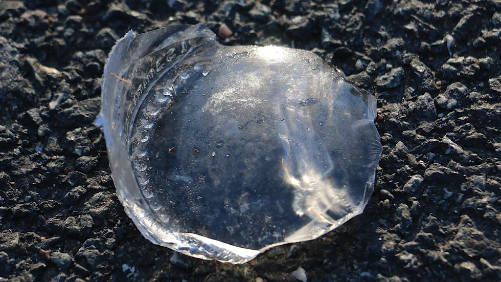 "Det kan vara stora glasbitar som sticker upp" säger hundägaren som uppmärksammat glaskrosset.