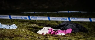 "Så kommer vi till rätta med gängvåldet"