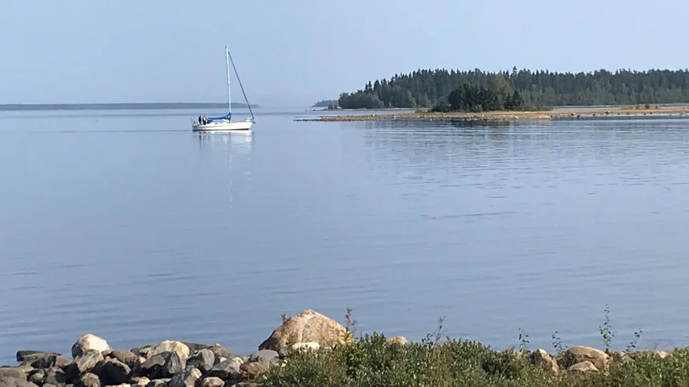 Rogivande ute på havet.
