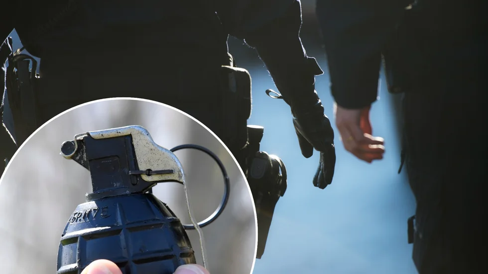 Skelleftebon döms för både skadegörelse och hot mot tjänsteman. 