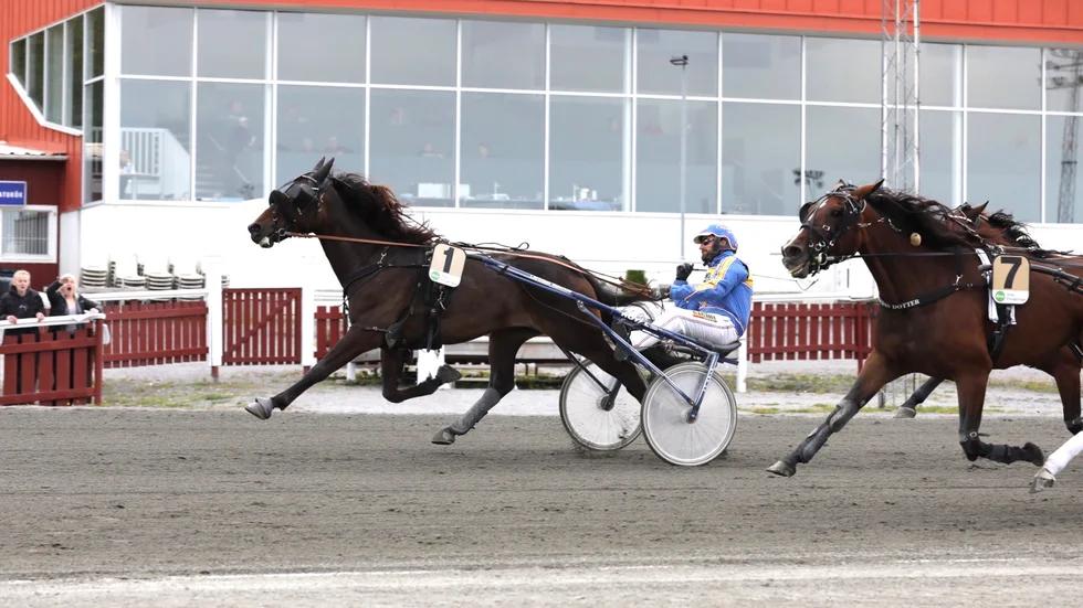 Mister B och Christian Månsson slog till med hemmaseger på Skellefteåtravet.