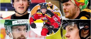 Norrbotten bäst på fostra SHL-spelare: "Nu släpper vi fram talanger – det hände inte tidigare"