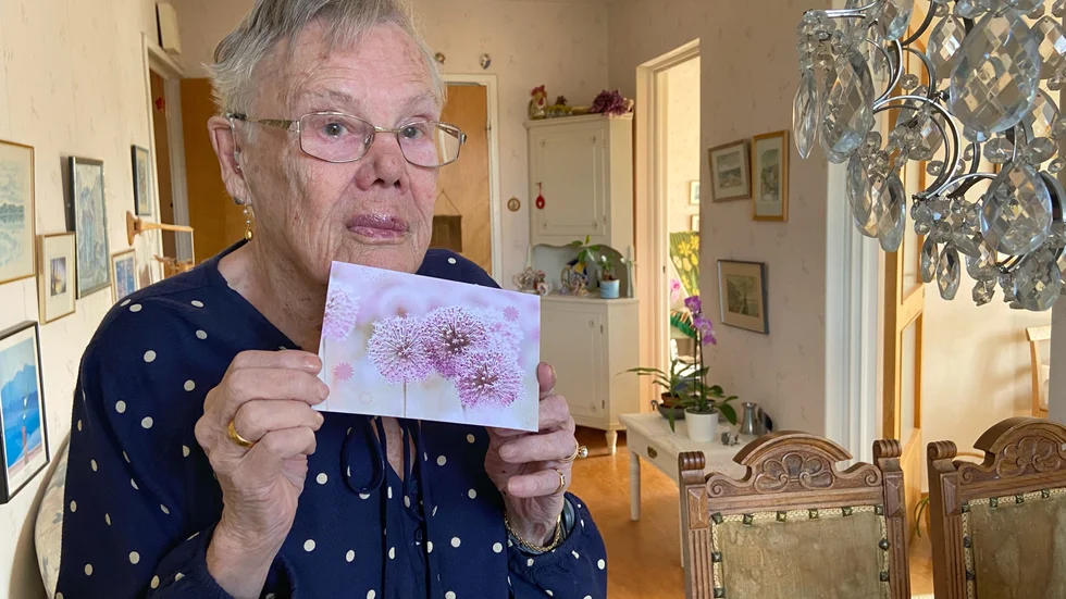 Hannah Klintberg, 91, vill tacka de fyra personer som hjälpte henne när hon ramlat utanför kommunhuset. 
