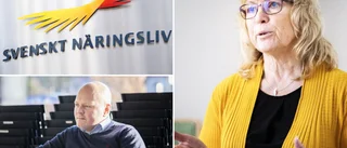 Gotland klättrar på årliga rankningen – "Det är avgörande för Gotlands utveckling"
