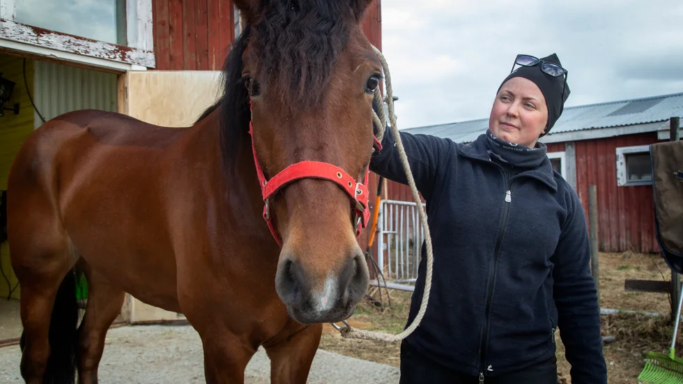 5-årige Hammarns Qrut vann femte segern i åttonde försöket när han som 10-oddsare rundade motståndet i V4-2 i Skellefteå. Cornelia Lindmark, Älvsbyn äger och tränar. Per Gustafsson satt i sulkyn. 