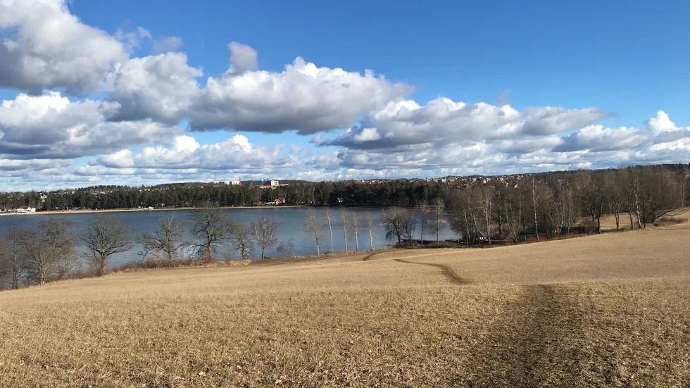 Mariebergsudden i mars 2021. Backen ned går lugnt på träningsrundan. Backen upp är inne i skogen och kan tas valfritt antal gånger. Det gäller att hitta kontinuitet och göra träningen till en vana i lugnt tempo.