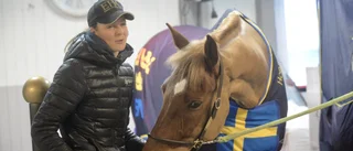 Andra försöket för Anna och Techno i Polen