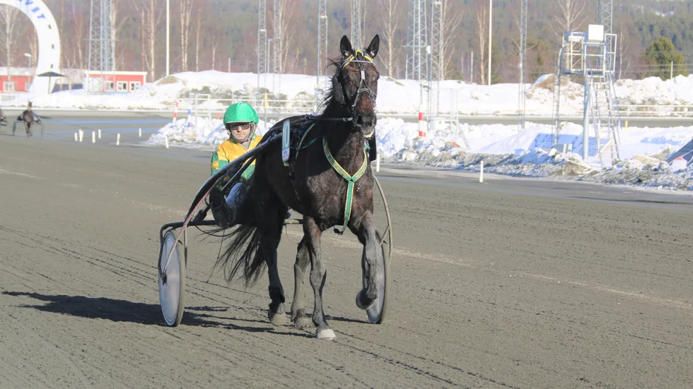 Nikita Sunrise (Ulf Ohlsson) höll för favorittrycket i V4-4.