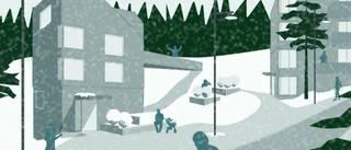 Omfattande kritik mot storbyggena på Södra Sunnanå - "Vi behöver inte mera puls, vi vill ha lugn och ro"