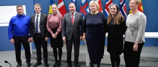 Norden kan visa vägen          