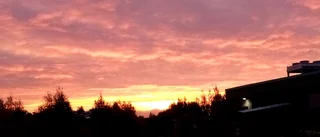 Läsarbild: Vacker morgonhimmel av Bengt Engström Boden
