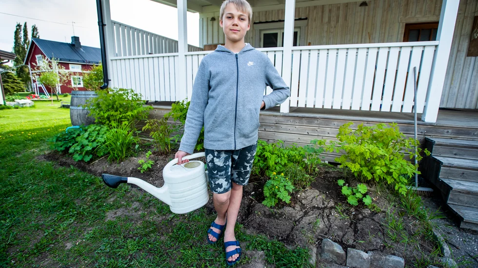 Agne Jonsson framför sin rabatt som innehåller pioner, plymspirea, jättedaggkåpa, gul daglilja, riddarsporre och amerikanskt älggräs.