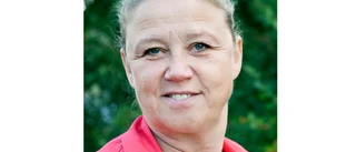 Företagsprojekt läggs ner - regionens omställning orsak