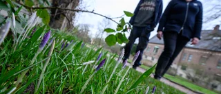 Det ser bedrövligt ut i Gällivare