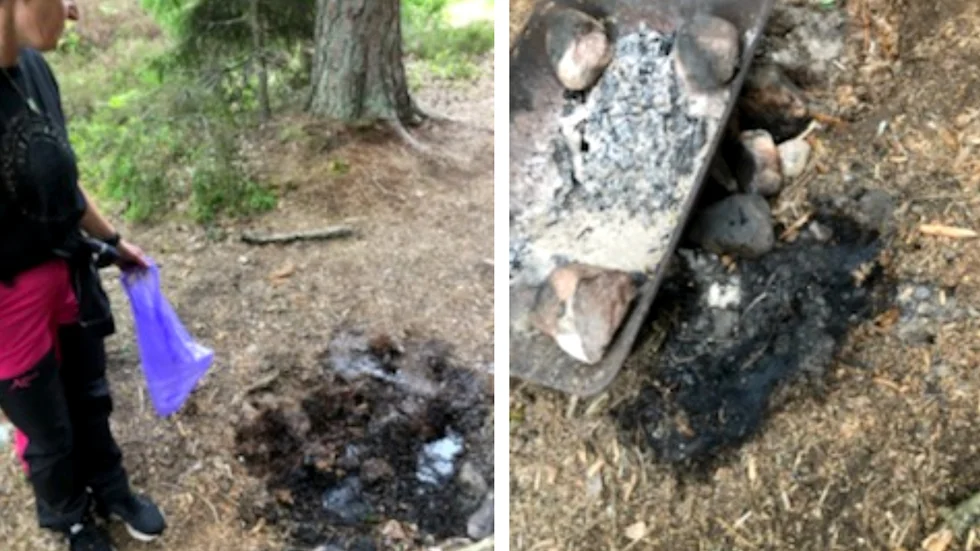 Maud Rinaldo vid kolresterna av en grillbrasa som pyrde ordentligt i marken när trion upptäckte det och sannolikt avtyrde en skogsbrand på måndagskvällen. 