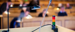 Största problemet är de långa sammanträdena