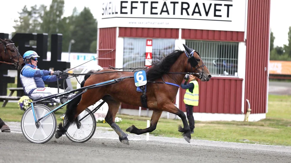Marodören tog sin första seger när han vann ett försök till Norrlands elitserie på Skellefteåtravet.