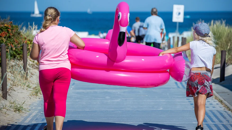 Flamingon på bilden är in samma som i texten. Arkivbild.