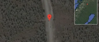 Hund på vägen på E10