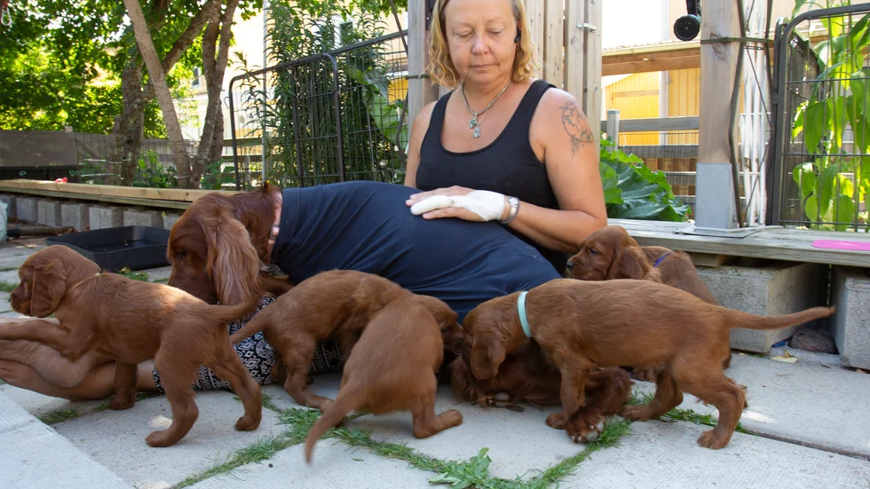 Maria Carlsson startade Knivsta hunddagis för snart tio år sedan. Men under pandemin har det varit tufft, när många hundägare jobbar hemifrån. På bilden är Maria tillsammans med sin hund och sina valpar.