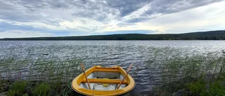 Läsarbild: Fin kväll vid Alträsket