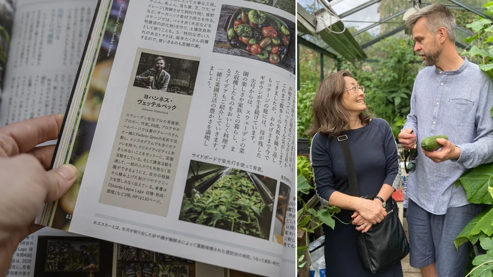 Sonoko Törngren Sato har initierat samarbetet mellan Farbror Grön och den japanska tidningen Yasai no jikan, som kan översättas till ungefär Dags att odla grönsaker.